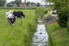 Gaslek-Holwierderweg-Appingedam_8147