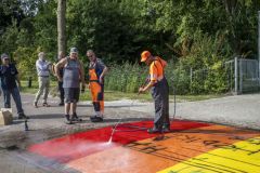 Regenboogzebrabad-schoonmaken_4411