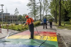 Regenboogzebrabad-schoonmaken_4745
