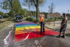 Regenboogzebrabad-schoonmaken_4817