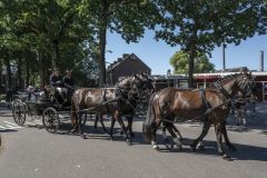 Koetsentocht-Slochteren_6546