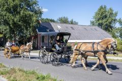 Koetsentocht-Slochteren_6754