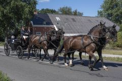 Koetsentocht-Slochteren_6793