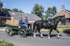 Koetsentocht-Slochteren_6835