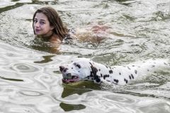 Honden-zwemmen-Loppersum_4413