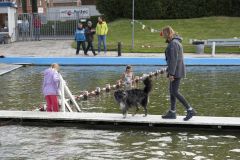 Honden-zwemmen-Loppersum_4428