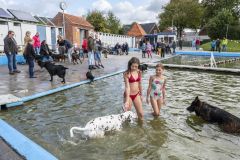 Honden-zwemmen-Loppersum_4540