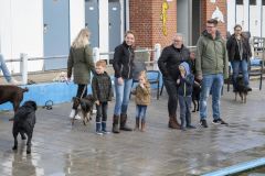 Honden-zwemmen-Loppersum_4845