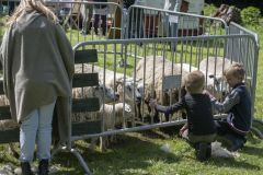 Beleef-Tjamsweer-114