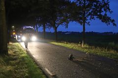 010822-auto-boom-Woudbloemlaan-Scharmer-002