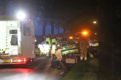 010822-auto-boom-Woudbloemlaan-Scharmer-003