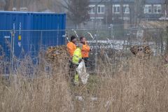 Gewonde-zwaan-Farmsumerweg-Delfzijl_1511