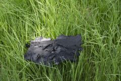 Grote-boerderijbrand-Godlinze_3300