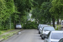 Tak-valt-op-auto-Sont_6681