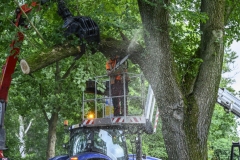 Tak-valt-op-auto-Sont_7442