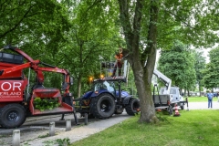 Tak-valt-op-auto-Sont_7801