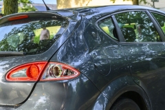 Tak-valt-op-auto-Sont_8023