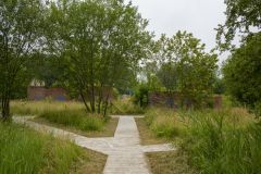 Rusthoven-terrein-Wirdum_8213