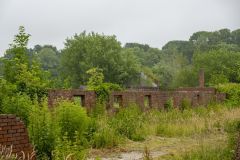 Rusthoven-terrein-Wirdum_8464