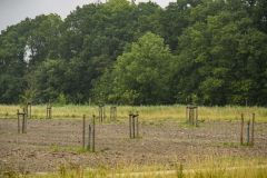 Rusthoven-terrein-Wirdum_8874