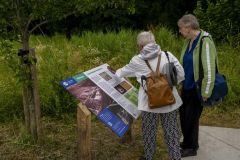 Rusthoven-terrein-Wirdum_8889