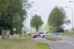 Hond-op-Hogelandsterweg11