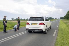 Hond-op-Hogelandsterweg12