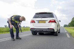 Hond-op-Hogelandsterweg14