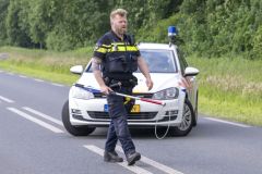 Hond-op-Hogelandsterweg19