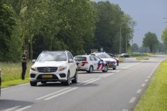 Hond-op-Hogelandsterweg2