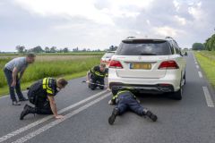 Hond-op-Hogelandsterweg23