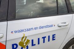 Hond-op-Hogelandsterweg31