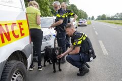 Hond-op-Hogelandsterweg46