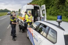 Hond-op-Hogelandsterweg49