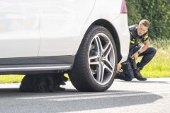 Hond-op-Hogelandsterweg6