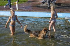 1_Diversen_7843