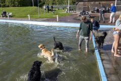 1_Diversen_7865