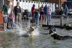 Diversen_7948