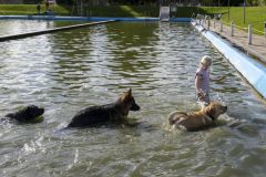 Diversen_8273