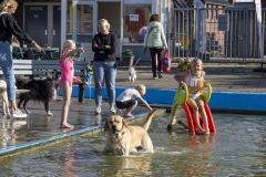 Diversen_8548