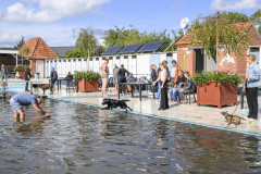 Hondenzwemmen2