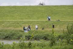 Onwelwording-dijk-Kustweg_4149