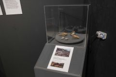 Dag-van-de-bodemschatten_0577