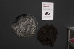 Dag-van-de-bodemschatten_0601