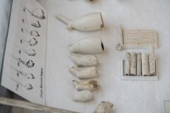 Dag-van-de-bodemschatten_0625