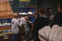 Dag-van-de-bodemschatten_0626