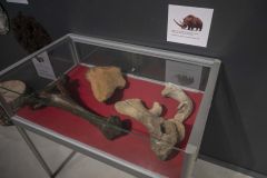 Dag-van-de-bodemschatten_0669