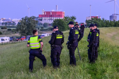 Rave-pier-van-Oterdum_5068