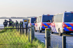 Rave-pier-van-Oterdum_5529