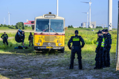 Rave-pier-van-Oterdum_5984